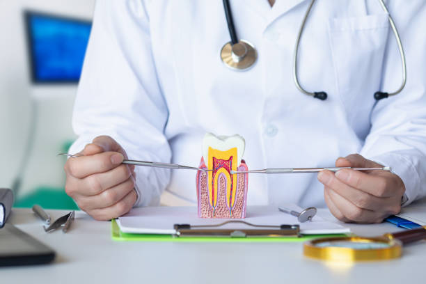 Best Cosmetic Emergency Dentistry in Lockwood, MT